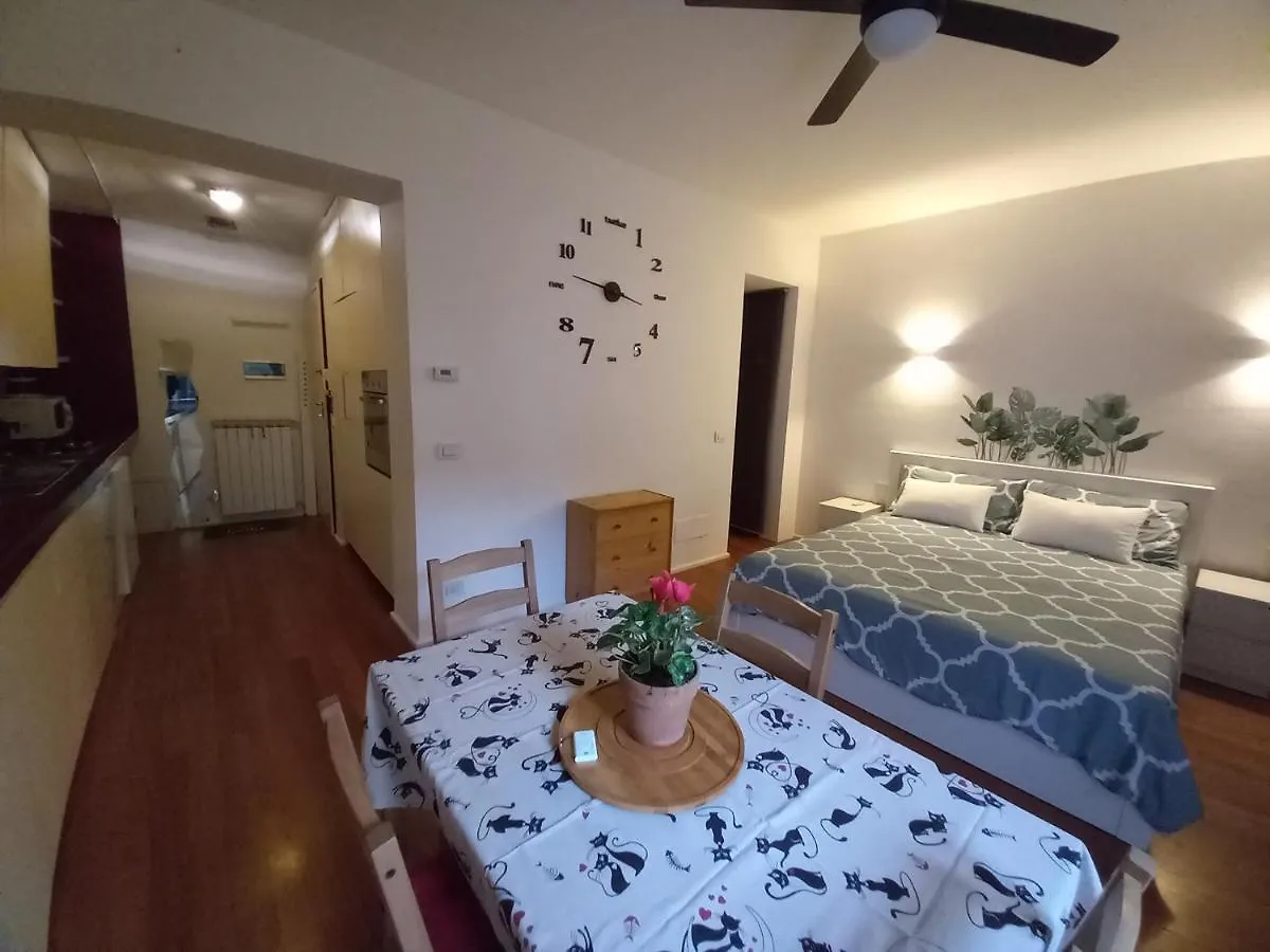 Zenhouse Firenze contacts